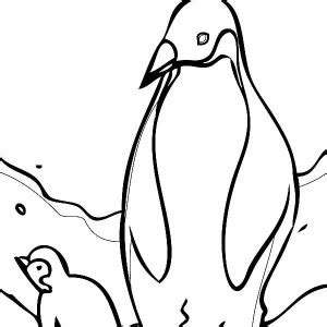 arctic animals penguin  iceberg coloring page kids play color