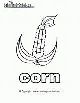 Coloring Corn Pages English Printable Noun Cob Stalk Drawing Library Clipart Printables Getdrawings Cornstalk Popular Comments Alphabet sketch template