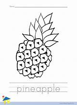 Pineapple Fruit sketch template