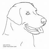 Labrador Coloring Lab Pages Drawing Dog Line Retriever Color Drawings Headstudy Easy Labs Puppies Golden Dogs Draw Puppy Colouring Own sketch template
