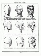 Loomis Andrew Drawing Anatomy Figure Face Head Some Stuck Need Human Advice Cartoon Artists Visit Basic Heads Reference Drawings Archive sketch template