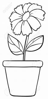 Pot Flower Drawing Plant Clipart Flowers Line Drawings Illustration Simple Vase Coloring Draw Pages Stock Template Kid Easy Sketch Outline sketch template
