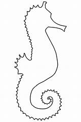 Seahorse Outline Clipart Coloring Horse Clip Publicdomainpictures Animal Blank Fish Clipground Animals sketch template