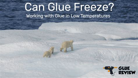 glue freeze glue review