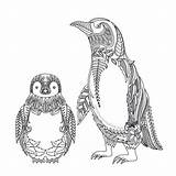 Pinguinos Pinguine Tundra Penguins Muster Tiere sketch template