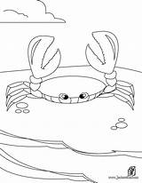 Crab Colorir Crabe Caranguejo Mangue Desenhos Imprimer Krabbe Crabs Caracoles Kolorowanki Krab Hellokids Caranguejos Caracol Ligne Cangrejo Dibujo sketch template