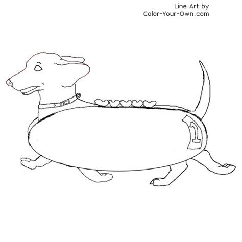 wiener dog coloring page  dachshund dog coloring page  printable