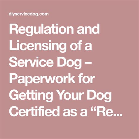 regulation  licensing   service dog paperwork