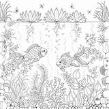 Coloring Pages Adult Books Enchanted Mandala Garden Adults Forest Stress Secret Express Self Help Book Huffingtonpost Colouring Creative Their Unleash sketch template