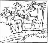 Palmeras Colorir Palmeira Vegetation Palme Palmier Coloriage Cocoteros Imprimer Palms Kokospalmen Ausmalbild Malvorlage Supercoloring Umriss Ausmalbilder Palmwedel Colorier Kategorien Imprimé sketch template