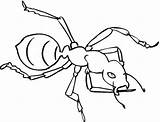 Ant Coloring Printable Sheet Drawing Ants Kids Pages Animal sketch template