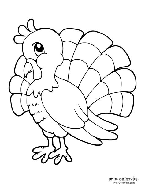 printable color turkey