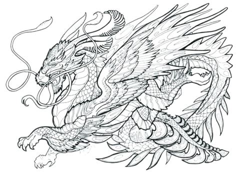 printable coloring pages  adults advanced dragons images