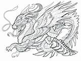 Dragon Coloring Pages Advanced Dragons Printable Adults Real Cool Sea Color Printables Getcolorings Estate Getdrawings Colorings Search Drawing Print Calvin sketch template