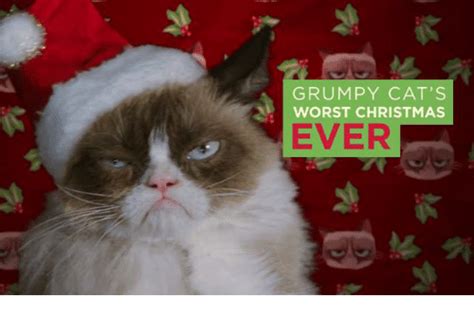 Grumpy Cat S Worst Christmas Ever Cats Meme On Sizzle