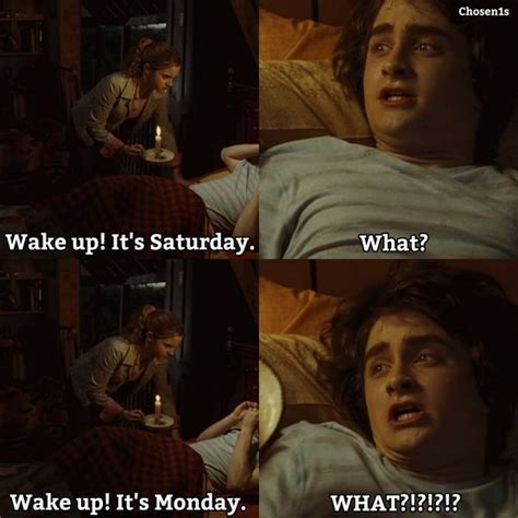 harry potter memes only a true potterhead can understand part 4 harry potter in 2019