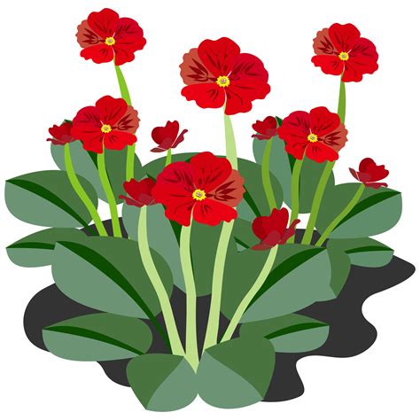 clipart flowers  wallpapers