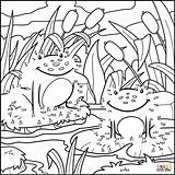 Dot Frogs Two Coloring Amphibians Pages Dots Printable Connect sketch template