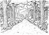 Forest Coloring Pages Getdrawings Deciduous sketch template