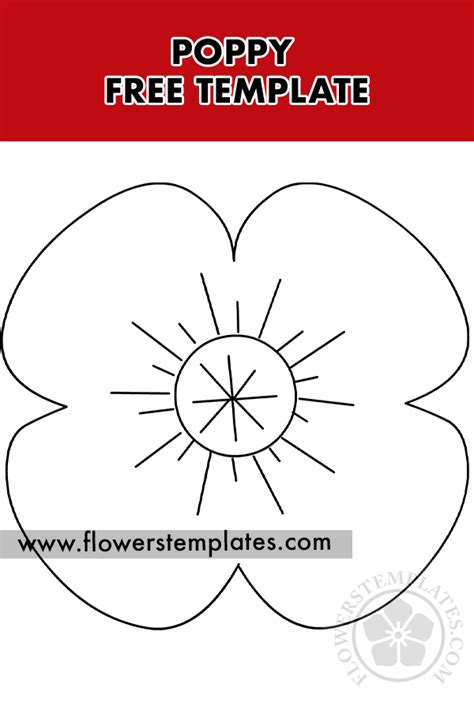 poppy flower outline flowers templates