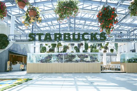 tokyos newest starbucks  set   blooming greenhouse
