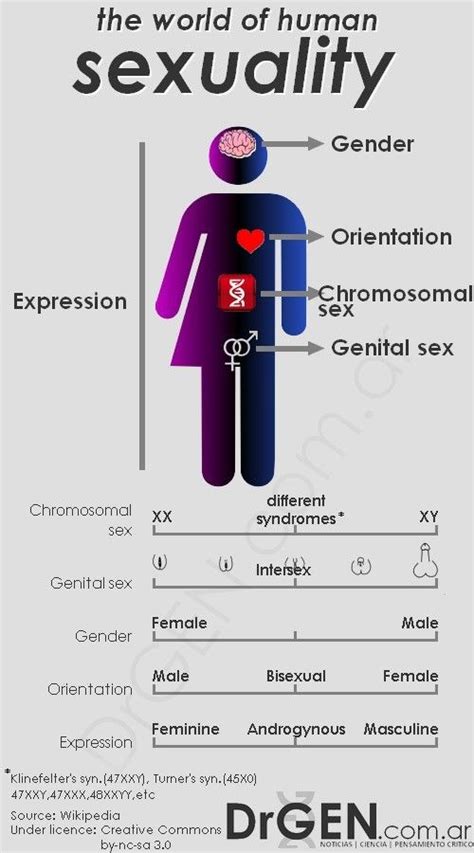 Artifact 1 Sex Vs Gender What They Mean Today Bottomscl17 S Blog Free