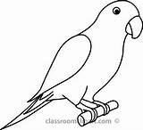 Parrot Outline Drawing Clipart Bird Drawings Birds Kids Animals Easy Draw Colouring Google Coloring Animal Getdrawings Search Cute Drawn Choose sketch template