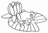 Frosch Seerosenblatt Tiere Ausmalbild Anfibi Malvorlage Angezeigt Verkleinert sketch template