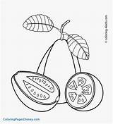 Guava Coloring Pages Fruit Kids Sketch Fruits Colouring Printable Color Drawing 4kids Getcolorings Guavas Food Paintingvalley sketch template