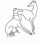 Whippet Greyhound Tattoo Dog Drawing Line Lurcher Visit Template Templates Coloring Pages Choose Board sketch template