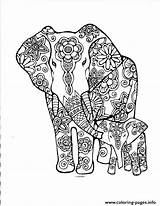 Coloring Adult Pages Elephants Printable Doodle Abstract Book Print Color sketch template