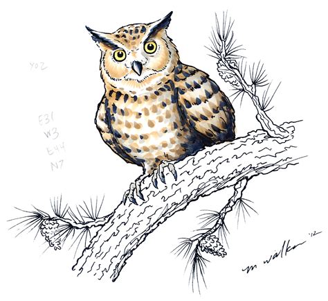 markers coloring  owl