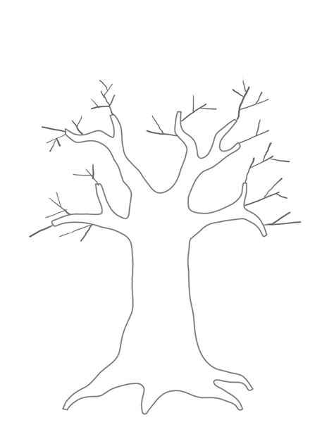 tree template   tree template png images