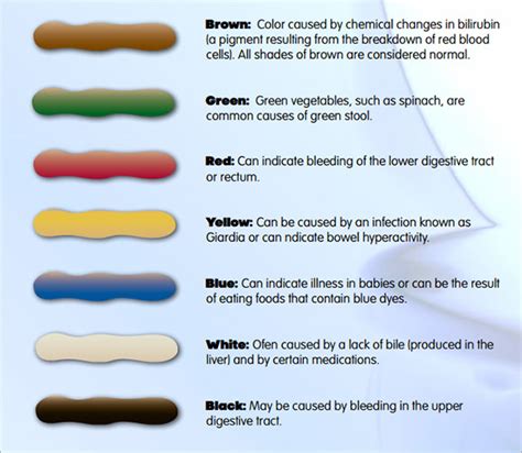 sample stool color chart templates