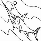 Zwaardvis Swordfish Schwertfisch Kleurplaten sketch template