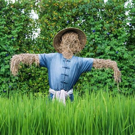 37 Creative Diy Garden Scarecrow Ideas For Contest