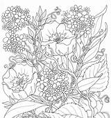 Coloring Summer Pages Flowers Adults Printable Adult Colouring Color Flower Print Sheets Coloriage Therapy Adulte Google Es Stress Anti Flores sketch template