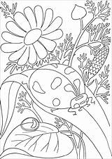 Ladybug Coloring Leave Cute Insects Flowers Pages Adult Background Nature Butterflies sketch template