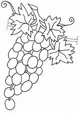 Coloring Grapes Pages Vegetables Fruits Print Raskraska Coloringtop sketch template