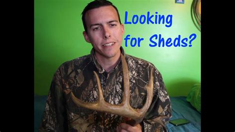 reasons     finding sheds youtube
