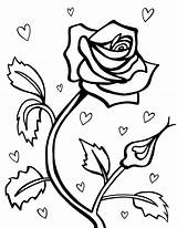 Coloring Roses Pages Printable Kids Hearts sketch template