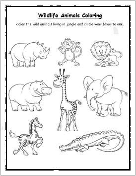 wildlife animals coloring worksheet englishbix