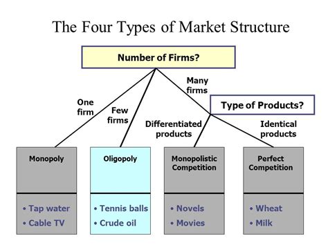 major types  market structure symphysis