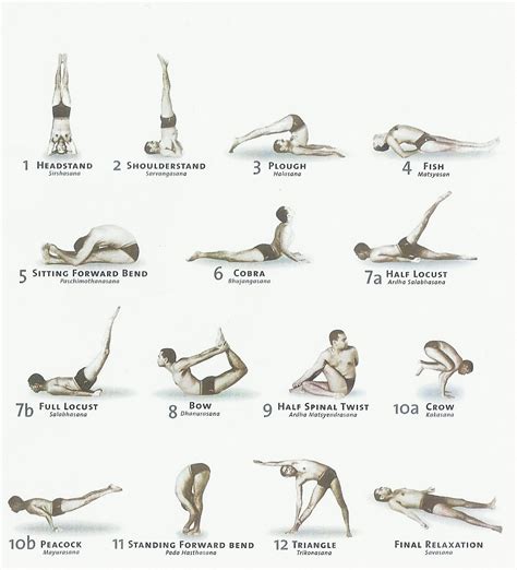printable posters  asanas yoga  beginners  activity