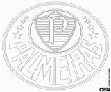 Palmeiras Emblem Coloring Emblems Championship Brazilian Flags Cbf Football Pages sketch template