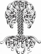 Celtic Tree Tattoo Tattoos Knot Roblfc1892 Deviantart Life Viking Designs Cool Coloring Wallpaper Band sketch template