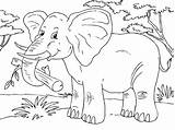 Elefant Malvorlage Herunterladen sketch template