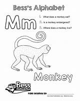 Bess Monkey sketch template