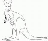 Colorat Cangur Desene Planse Kangaroo Kangourou Desen Creion Animal Animaux Martisor Salbatice Educative Cangurul Canguri Coloriages sketch template