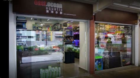 aquarium stores    find  singapore